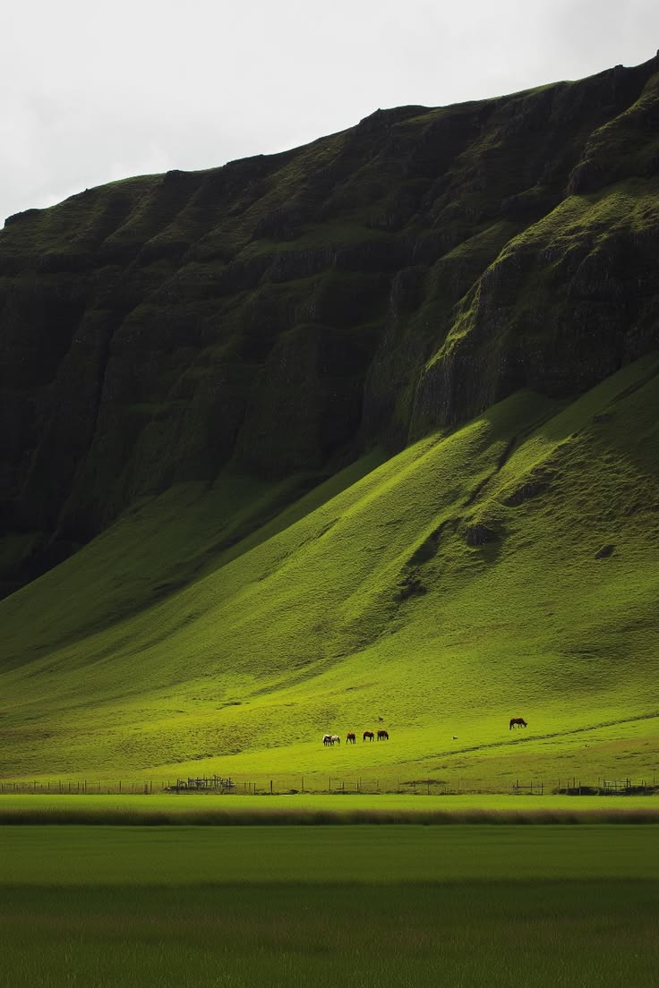 Green hillside beside a quiet lake